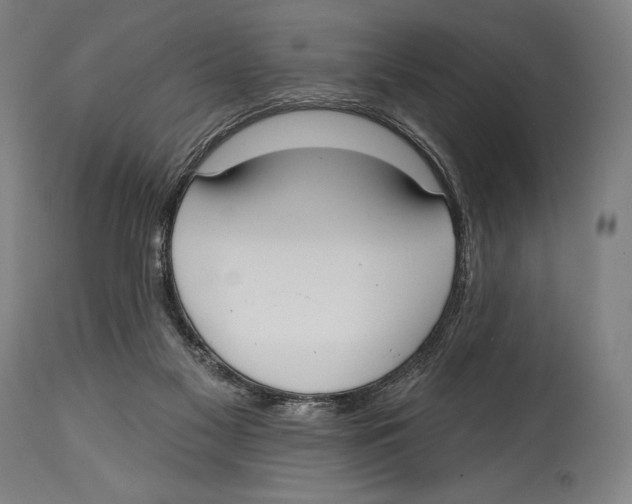 X0000114440117200911131524