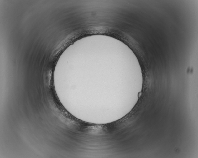 X0000114440118200911131524