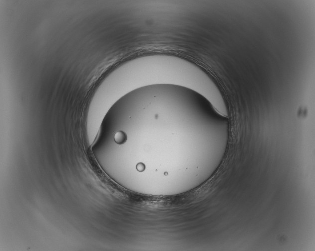 X0000114440120200911131524
