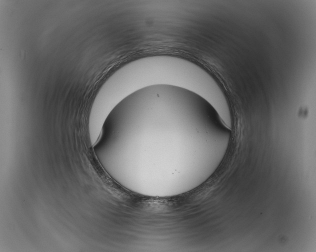 X0000114440121200911131524