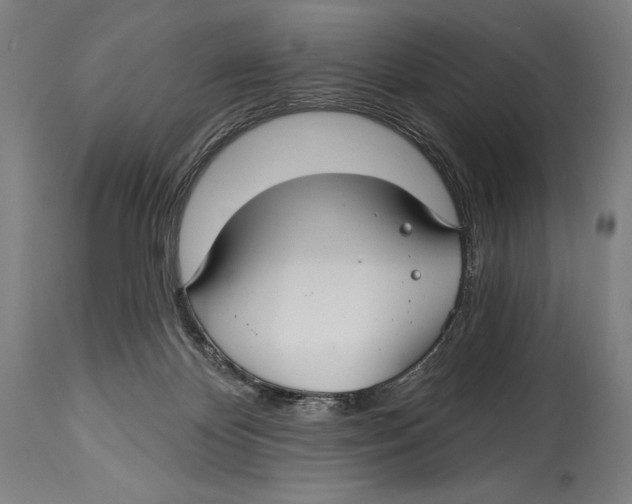 X0000114440124200911131524