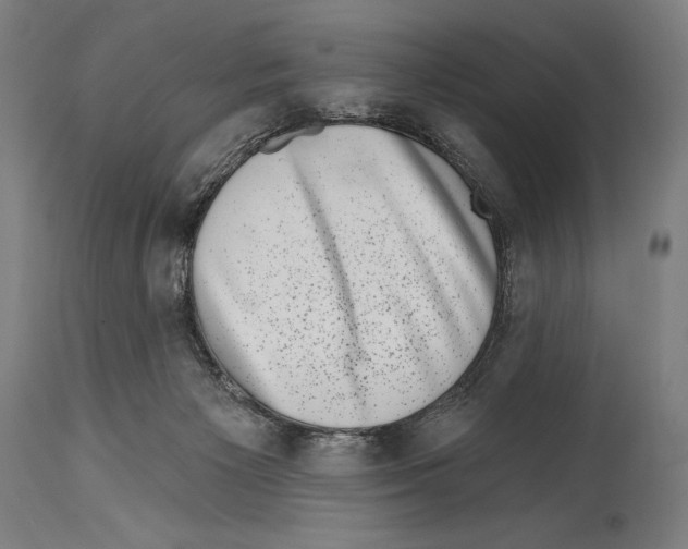 X0000114440125200911131524