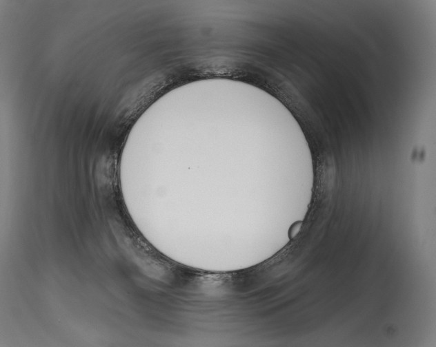 X0000114440126200911131524