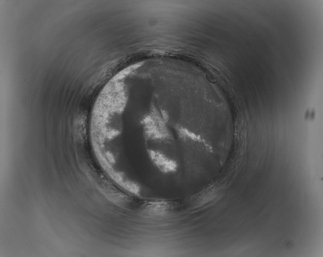 X0000114440127200911131524