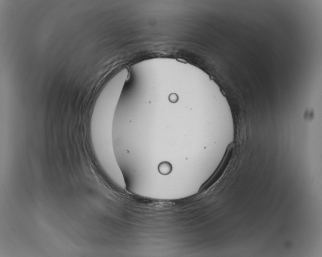 X0000114440128200911131524