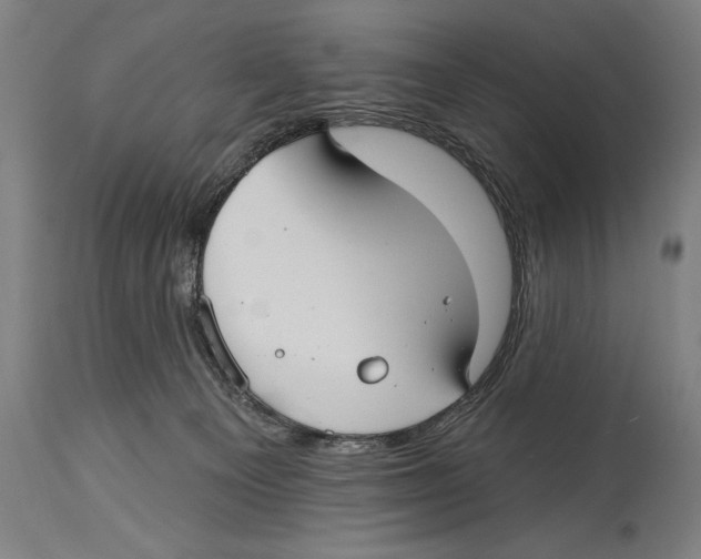 X0000114440129200911131524