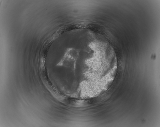 X0000114440130200911131524