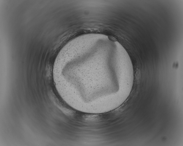 X0000114440132200911131524