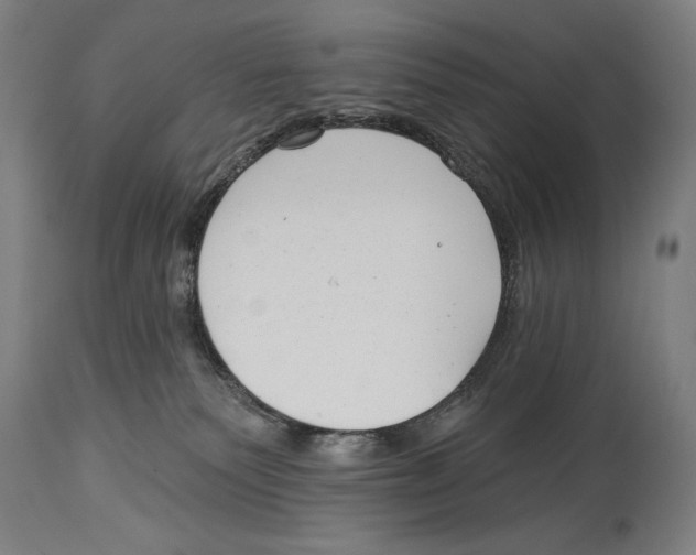 X0000114440135200911131524