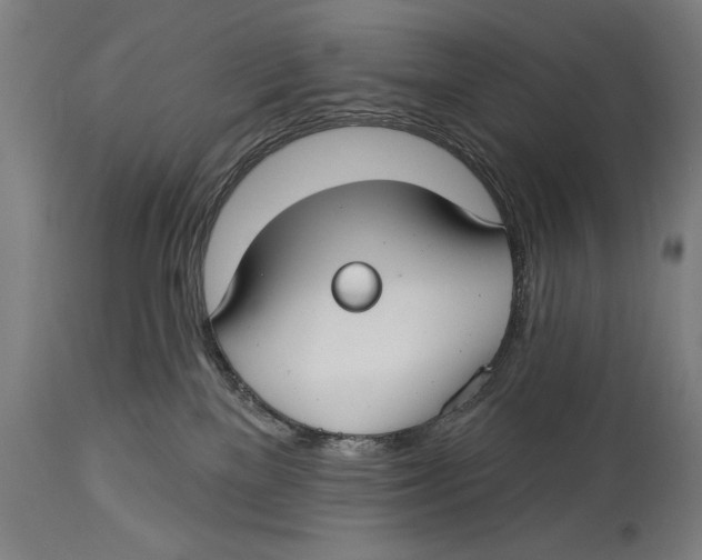 X0000114440137200911131524