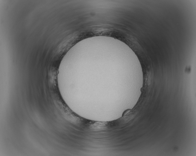 X0000114440138200911131524