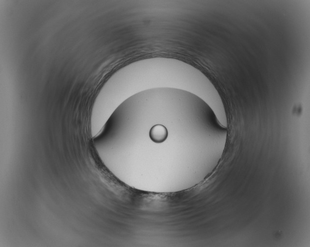 X0000114440140200911131524