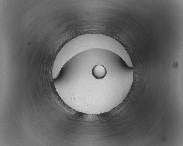 X0000114440141200911131524