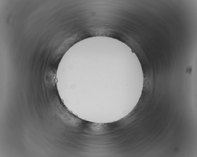 X0000114440142200911131524