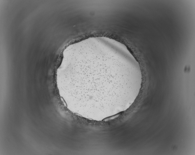 X0000114440144200911131524