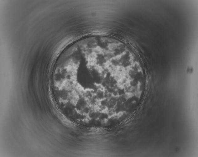 X0000114440145200911131523