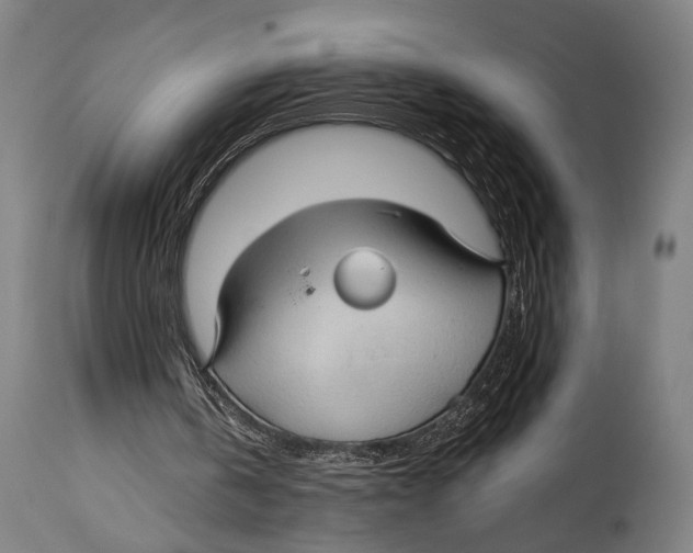 X0000114440146200911131523
