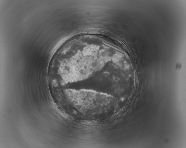 X0000114440147200911131523