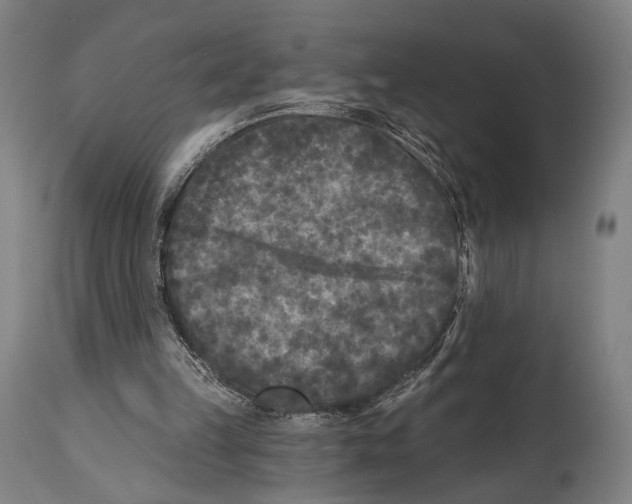 X0000114440149200911131523
