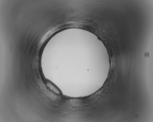 X0000114440150200911131523