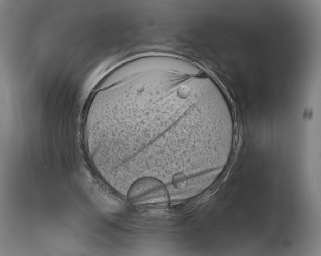 X0000114440151200911131523