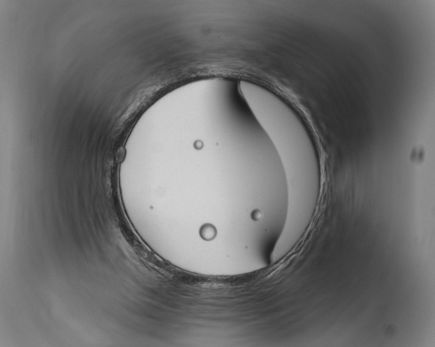 X0000114440154200911131523
