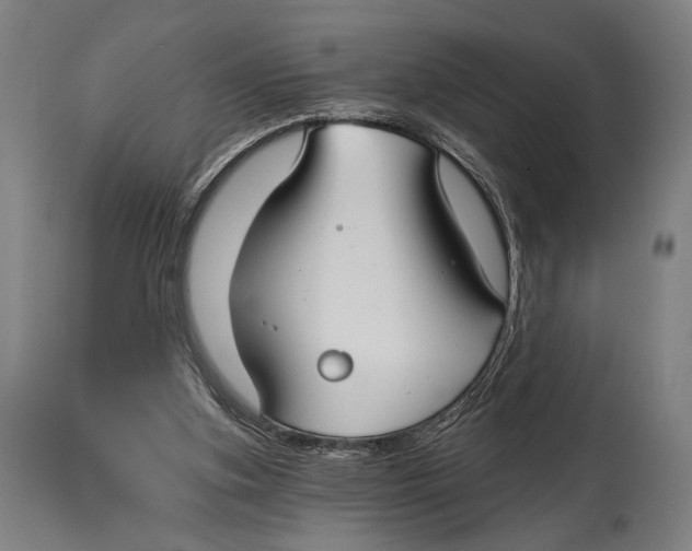 X0000114440155200911131523
