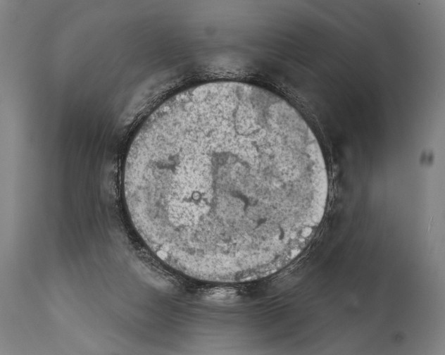 X0000114440162200911131523