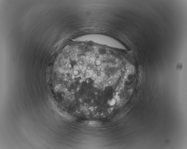 X0000114440165200911131523