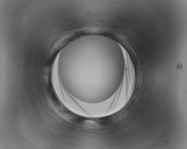 X0000114440167200911131524