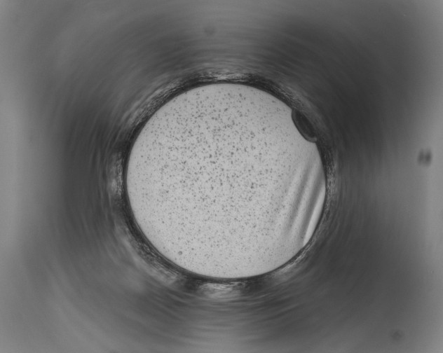 X0000114440170200911131524