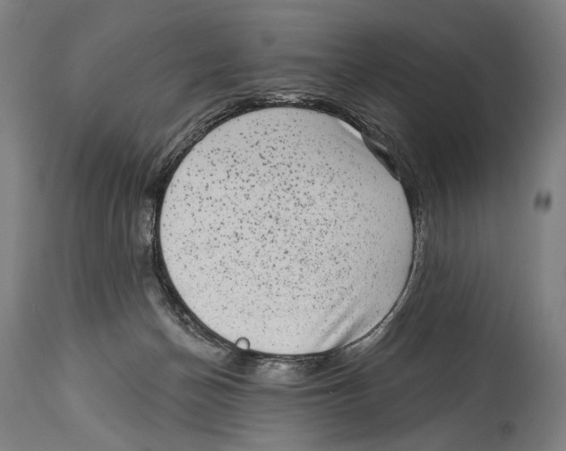X0000114440174200911131524