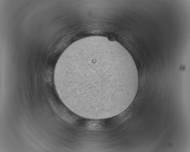 X0000114440175200911131524