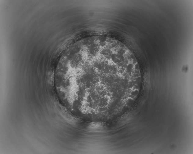 X0000114440177200911131524