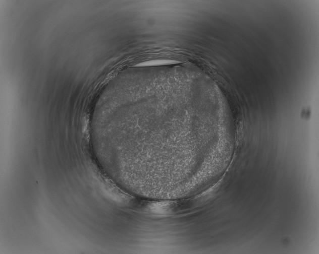 X0000114440178200911131524