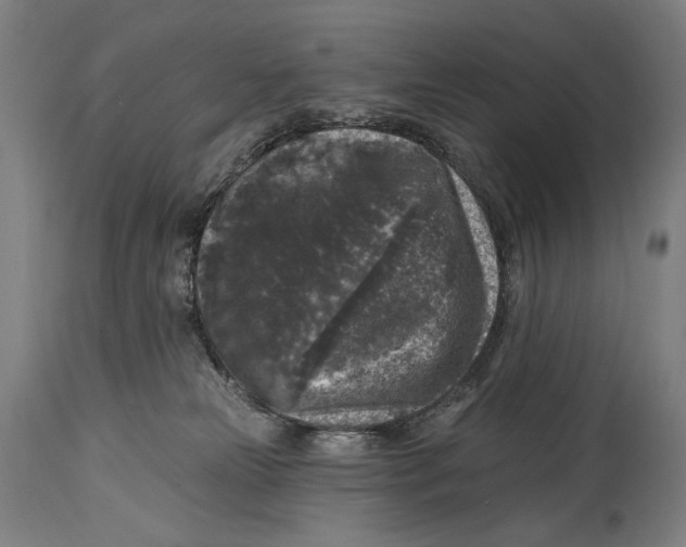 X0000114440181200911131524