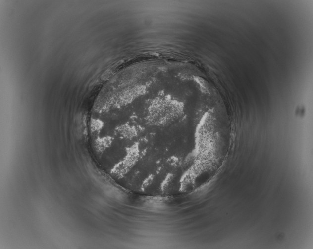 X0000114440182200911131524