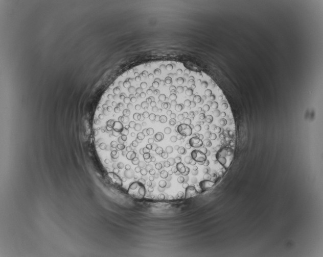 X0000114440183200911131524