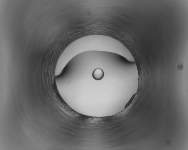X0000114440186200911131524
