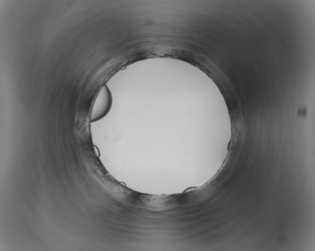 X0000114440191200911131524