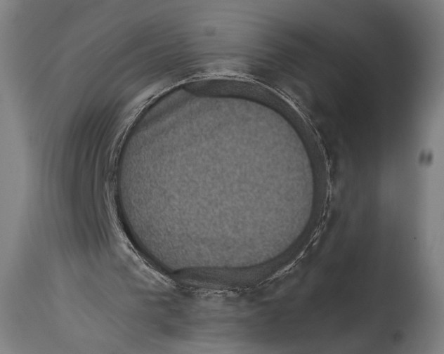 X0000114440193200911131523