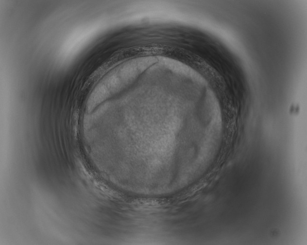 X0000114440194200911131523