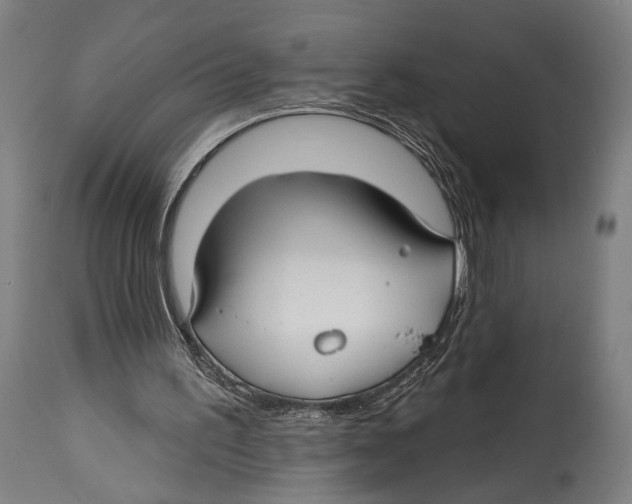 X0000114440195200911131523