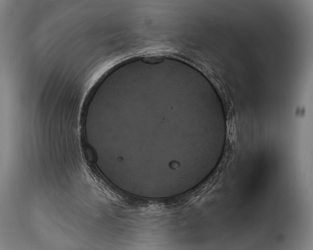 X0000114440196200911131523
