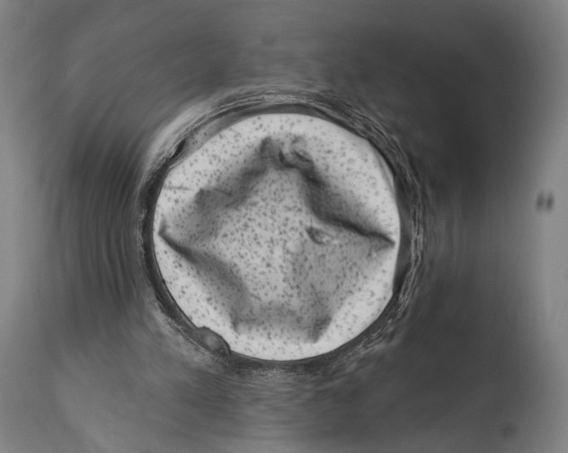 X0000114440197200911131523