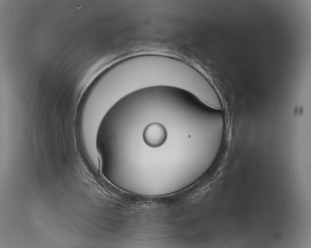 X0000114440199200911131523