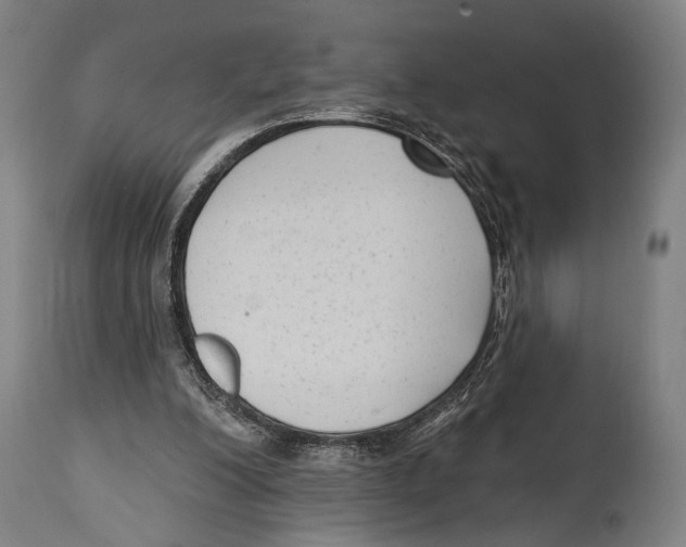 X0000114440200200911131523
