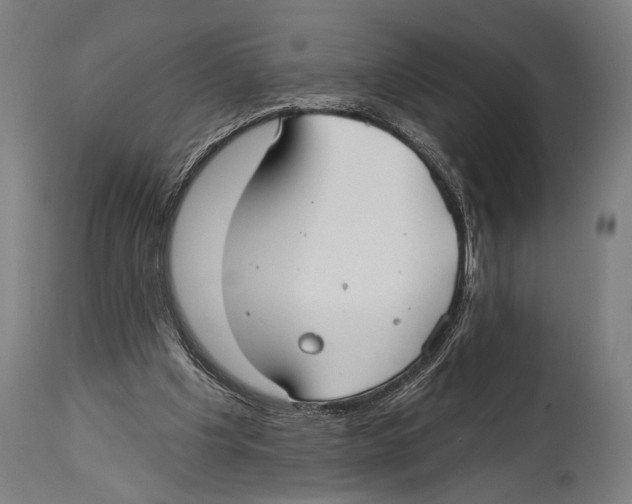X0000114440201200911131523