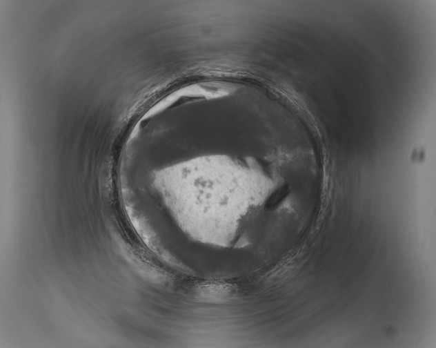 X0000114440202200911131523