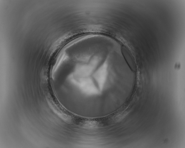 X0000114440203200911131523